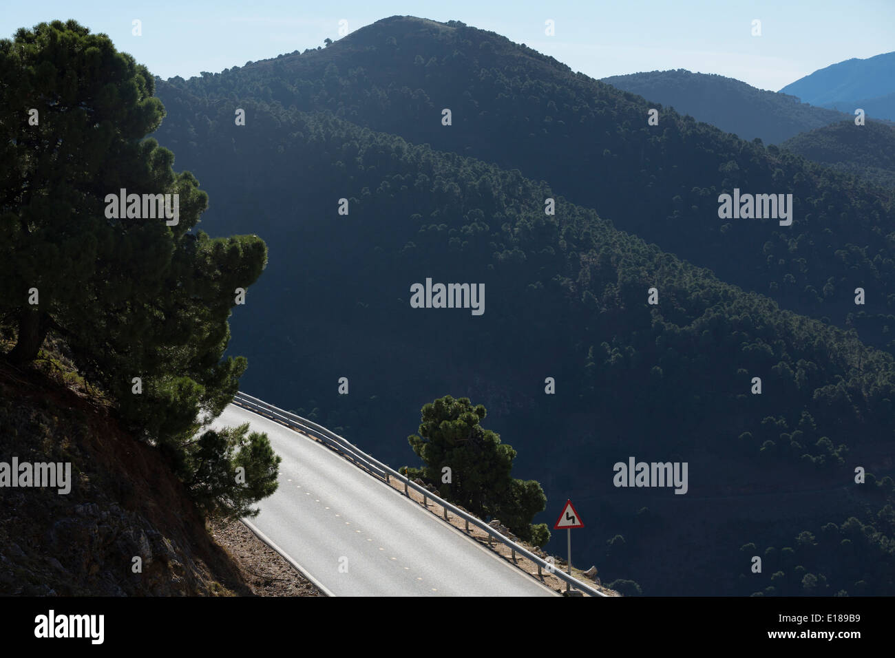 Blick auf Bäume über Berge Stockfoto