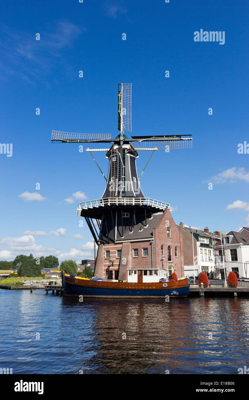 Die markante Adriaan Windmühle in Haarlem, Niederlande Stockfoto
