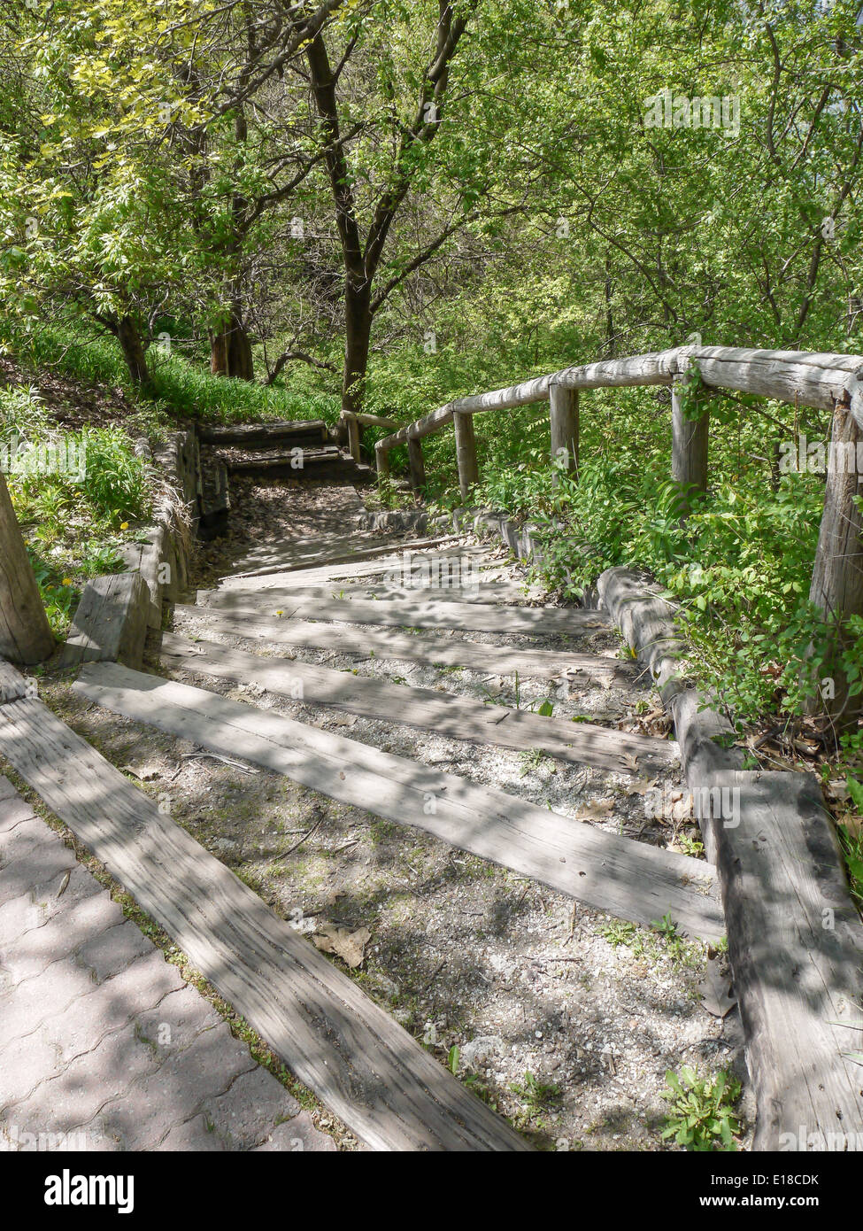 Baum Schatten Treppen hoch park Toronto Kanada Stockfoto