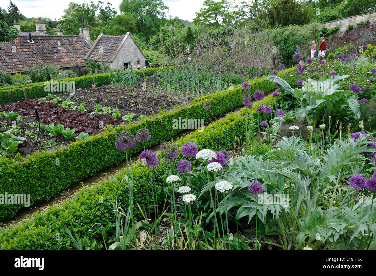 Gemüsegarten-Grundstücke in der englischen Landschaftsgärten des Belcombe Hofes, Bradford-on-Avon, Wiltshire, UK Stockfoto