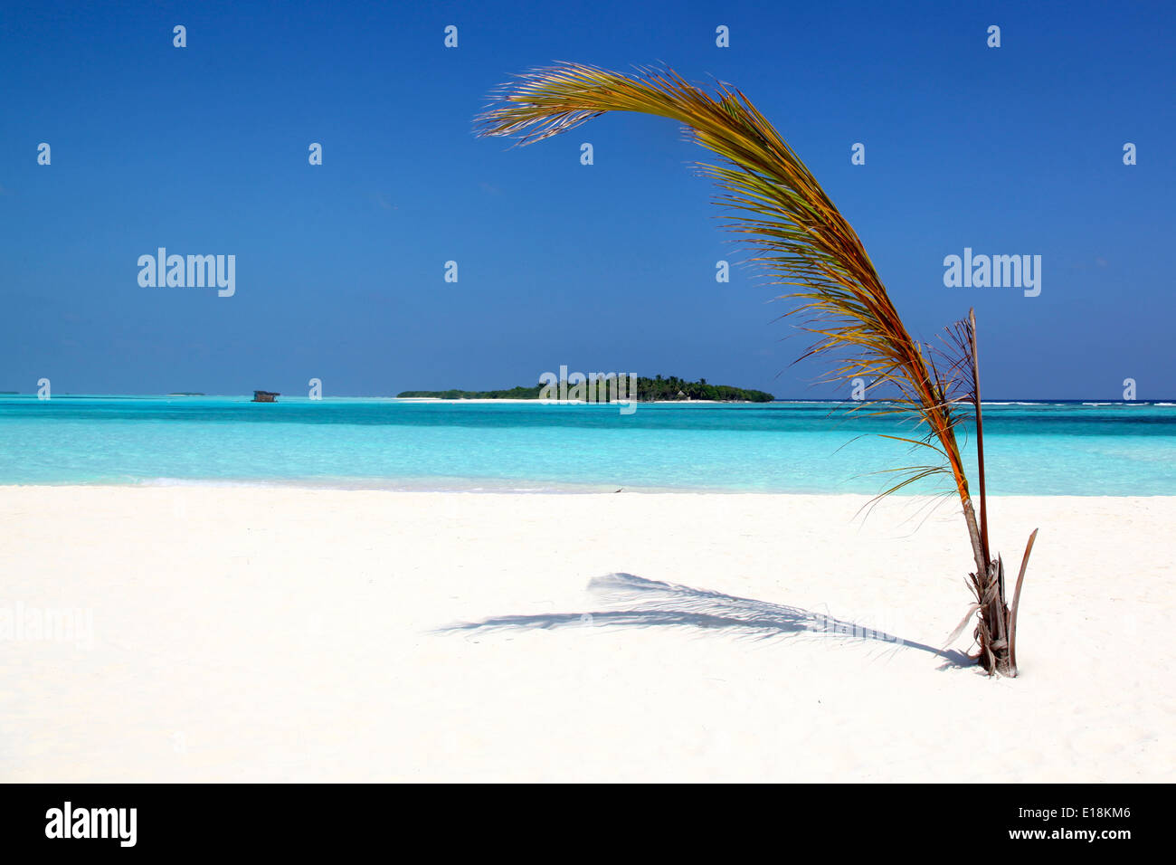 Urlaub am Strand Stockfoto