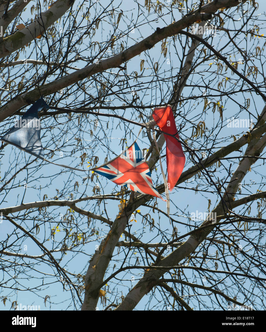 Zerrissene Union Flag Bunting gefangen im Baum Stockfoto