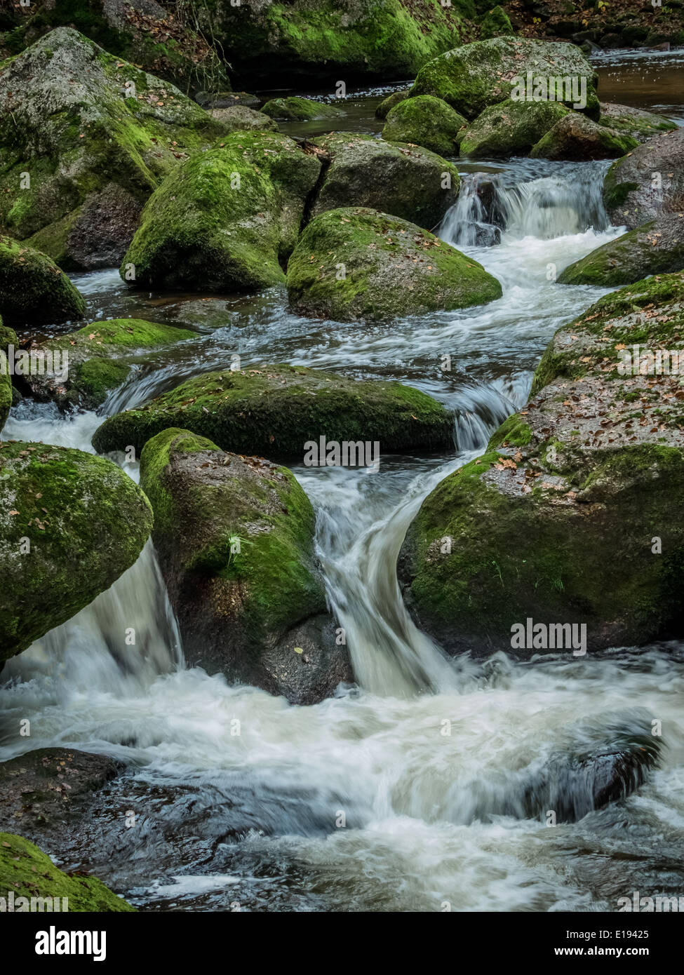 Ein Bach Mit Steinen Und Fliessendem Wasser. Landschaft Erleben in der