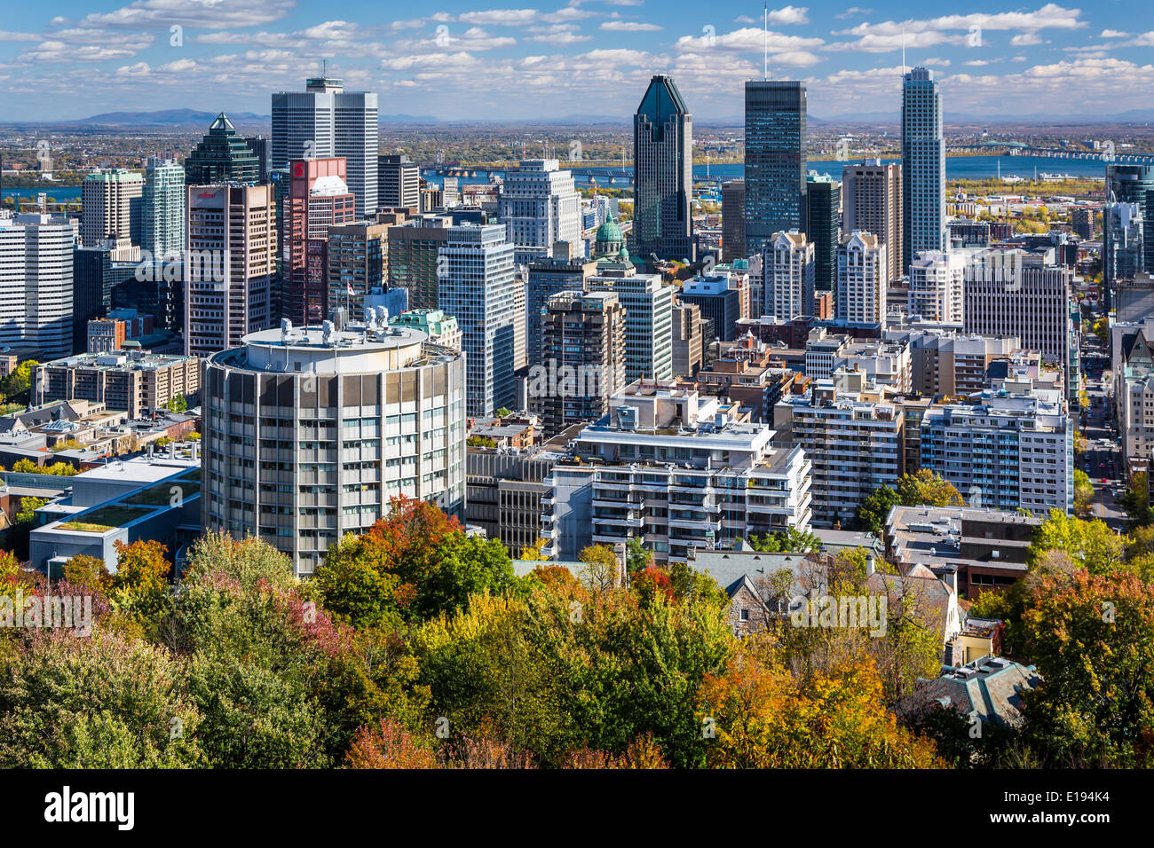 Die Skyline der Stadt mit Herbst Laub Farbe vom Mount Royal Park in Montreal, Quebec, Kanada. Stockfoto