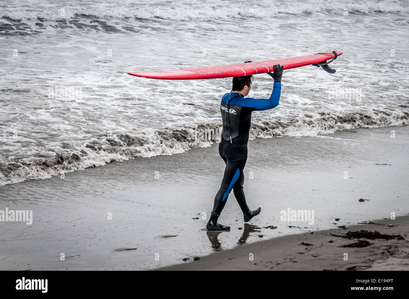 Eine Surfer nutzt den Kopf, als der Regen zu fallen beginnt, diese Surfer nutzt sein Surfbrett Regen halten Sie seinen Kopf, Ans Neoprenanzug. Stockfoto