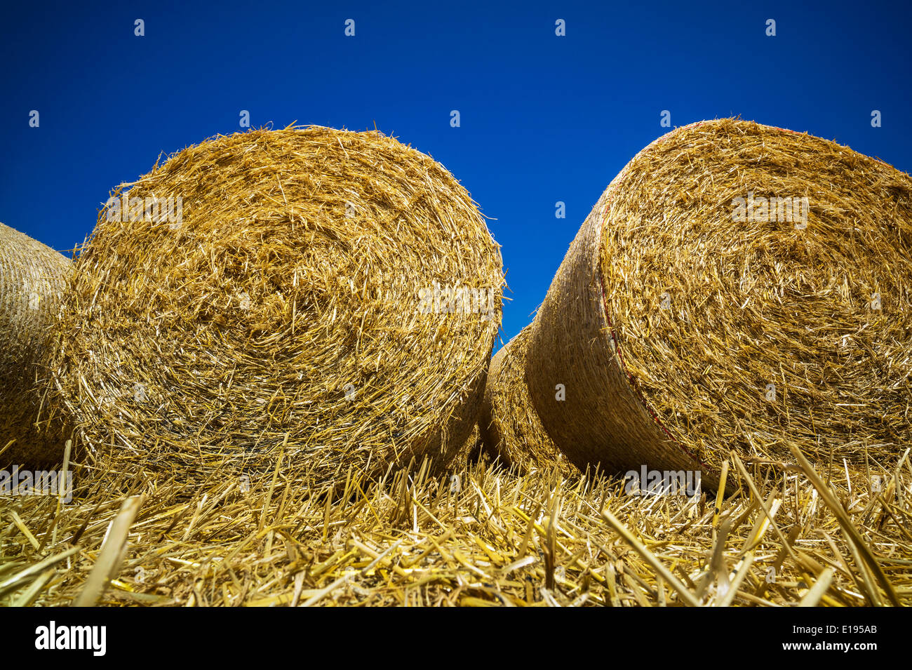 Ballen aus Gasse Nach der Ernte Eines Weizenfeldes Stockfoto