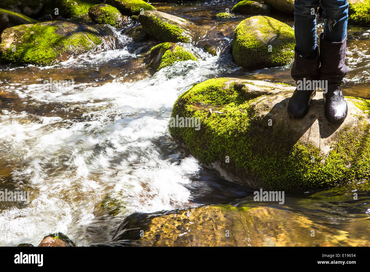 Abgebildet ist der Little River in der Nähe der Katarakt fällt im Nationalpark Great Smoky Mountains in Tennessee Stockfoto