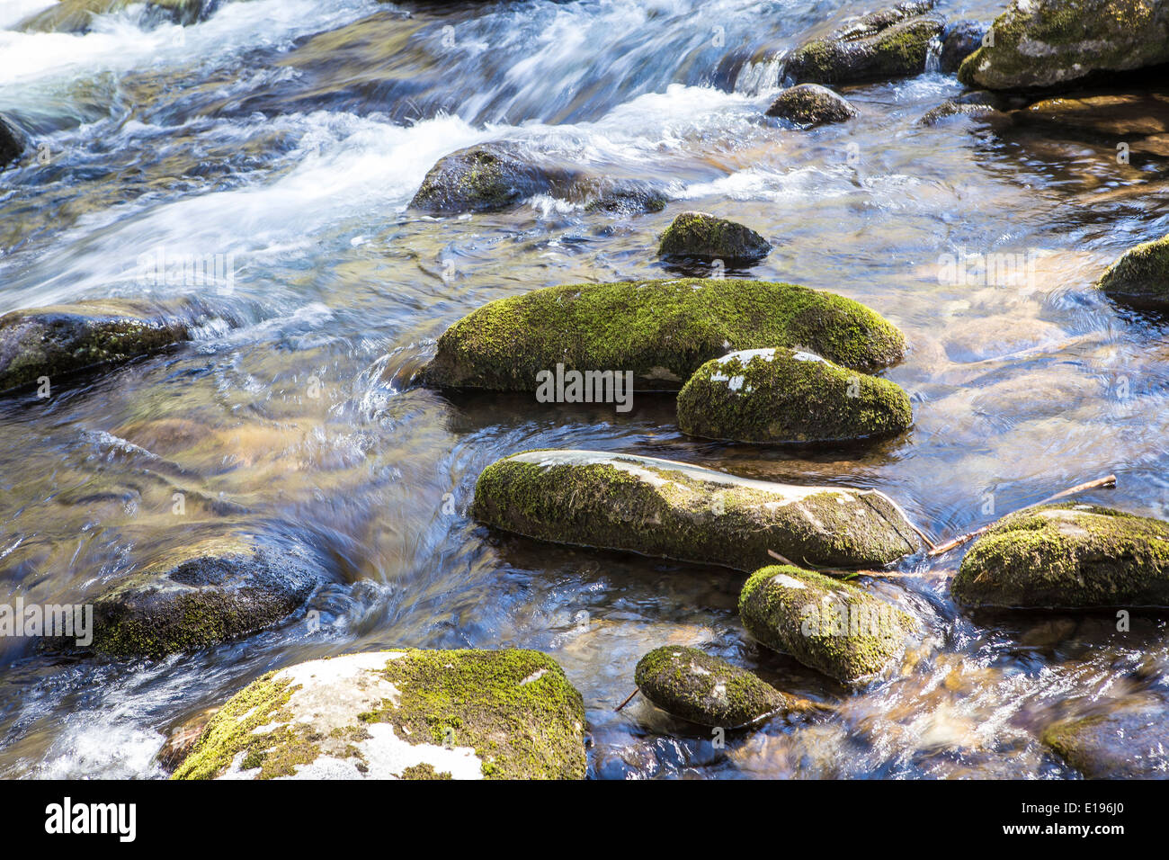 Jakes Bach Fluss ist im Nationalpark Great Smoky Mountains in Tennessee abgebildet. Stockfoto
