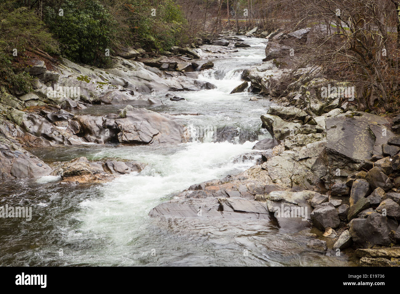 Abgebildet ist der kleine Fluss von alten State Highway 73 im Nationalpark Great Smoky Mountains in Tennessee Stockfoto