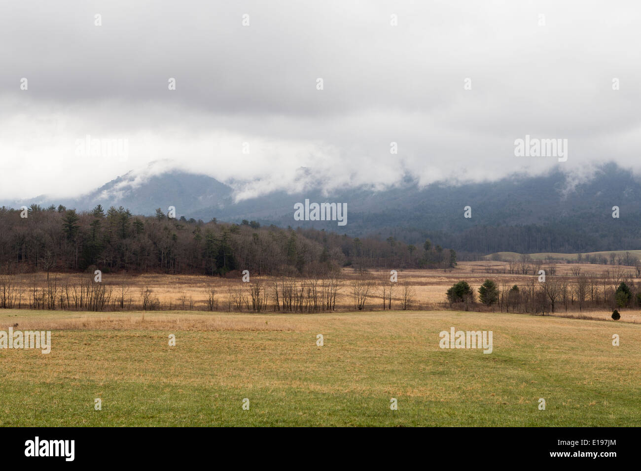 Cades Cove ist im Nationalpark Great Smoky Mountains in Tennessee abgebildet. Stockfoto