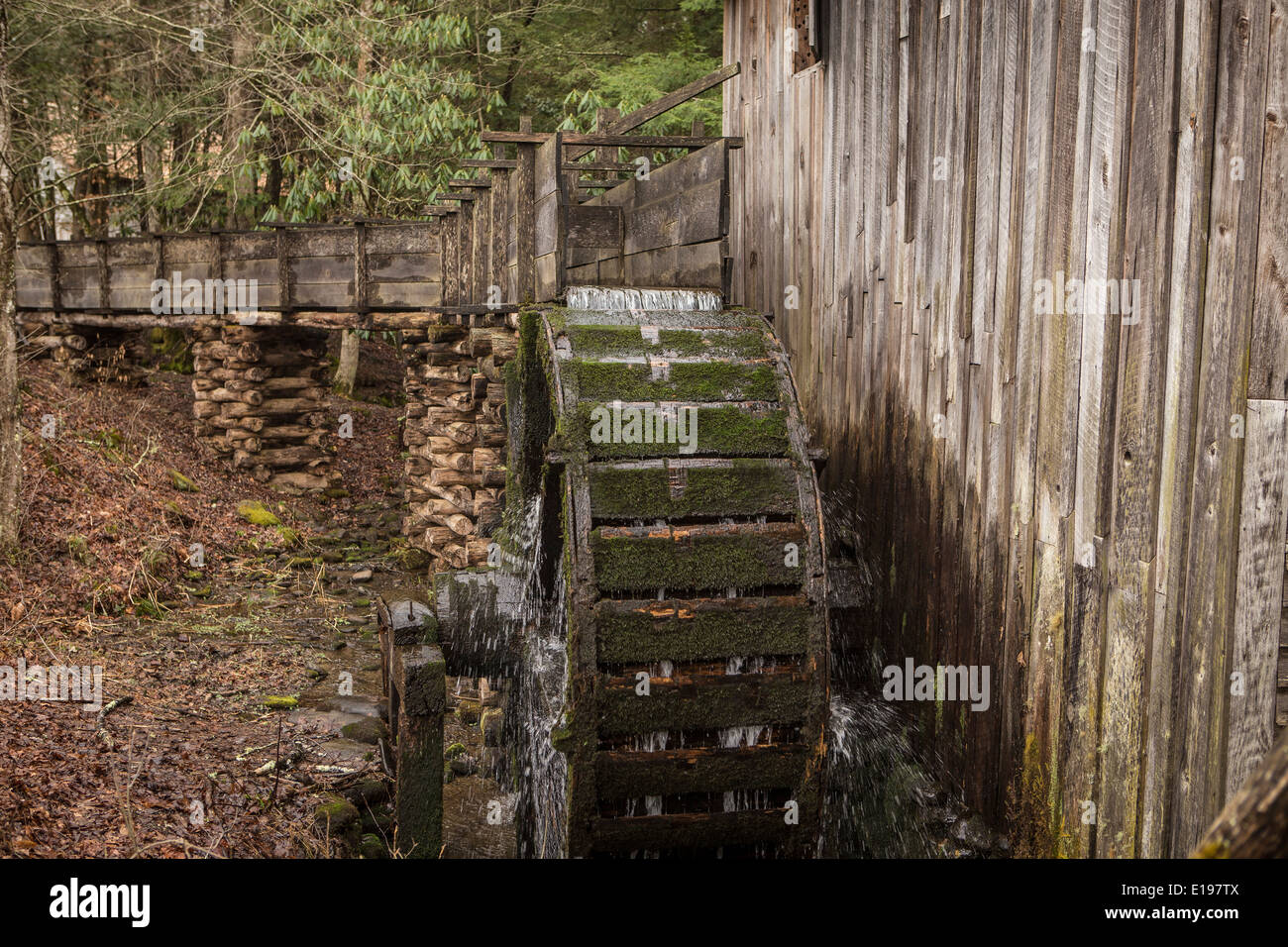 John Kabel Grist Mill ist in Cades Cove Gebiet des Great Smoky Mountains National Park in Tennessee abgebildet. Stockfoto