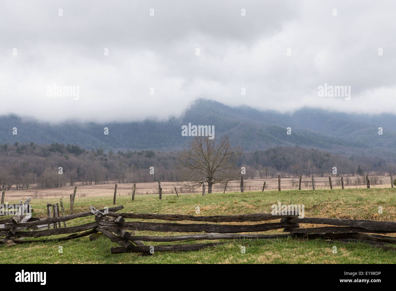 Cades Cove ist im Nationalpark Great Smoky Mountains in Tennessee abgebildet. Stockfoto
