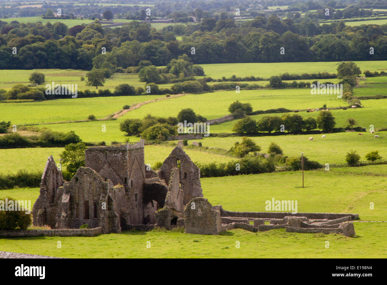 Blick vom Rock of Cashel mit Kirche zerstört von Cromwells Armee in 1647 Tipperary, Irland Stockfoto