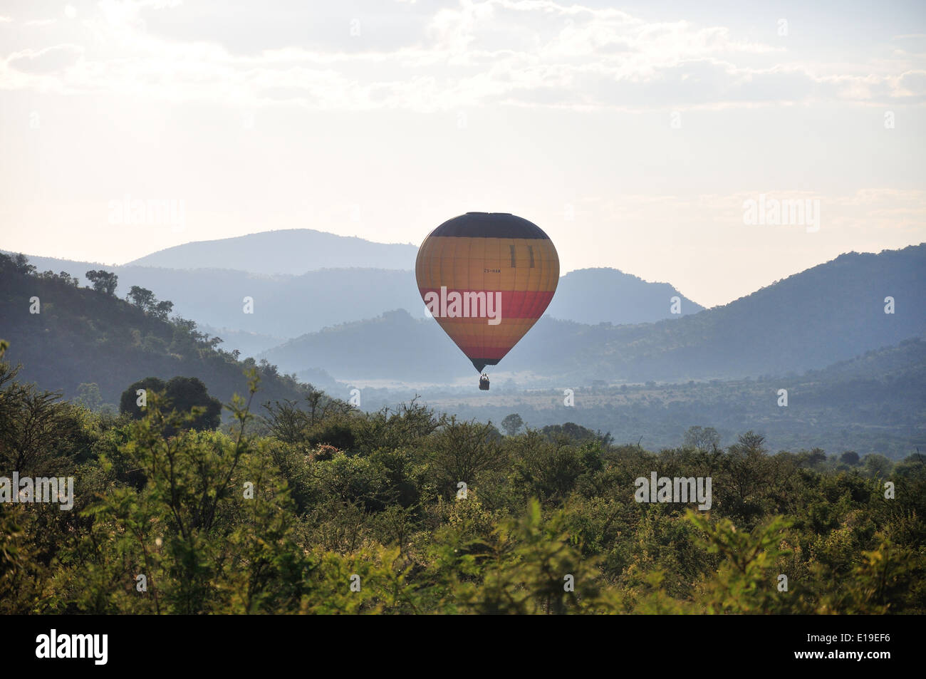 Ballon Wildtiersafaris, Pilanesberg Nationalpark Pilanesberg, North West Province, Südafrika Stockfoto