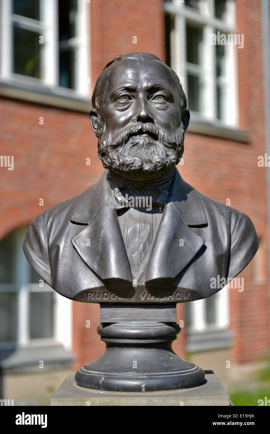 Bueste Rudolf Virchow, Charite, Berlin, Deutschland / Büste Stockfoto