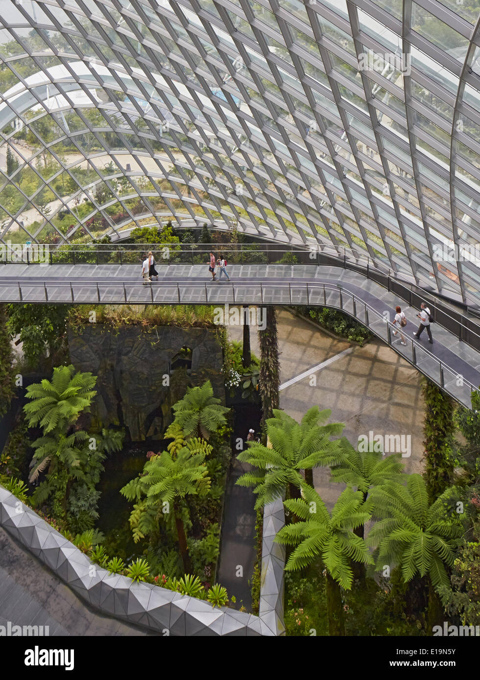 Gärten von Bay, Singapur, Singapur. Architekt: Wilkinson Eyre Architects, 2011. Innerhalb der tropischen Nebelwald Kuppel. Stockfoto
