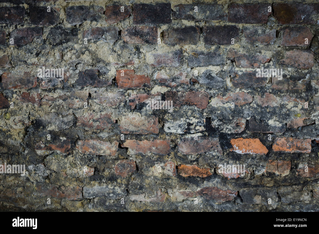 alte Ziegel Wand im Keller Stockfoto