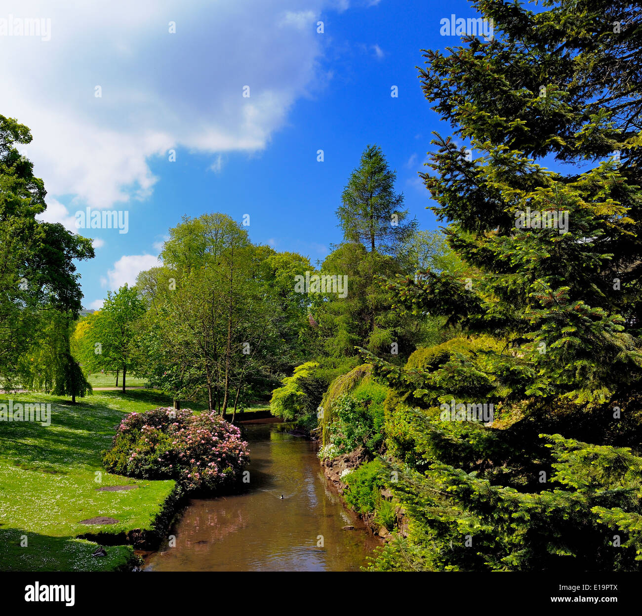 Buxton Pavilion Gärten Derbyshire England UK Stockfoto