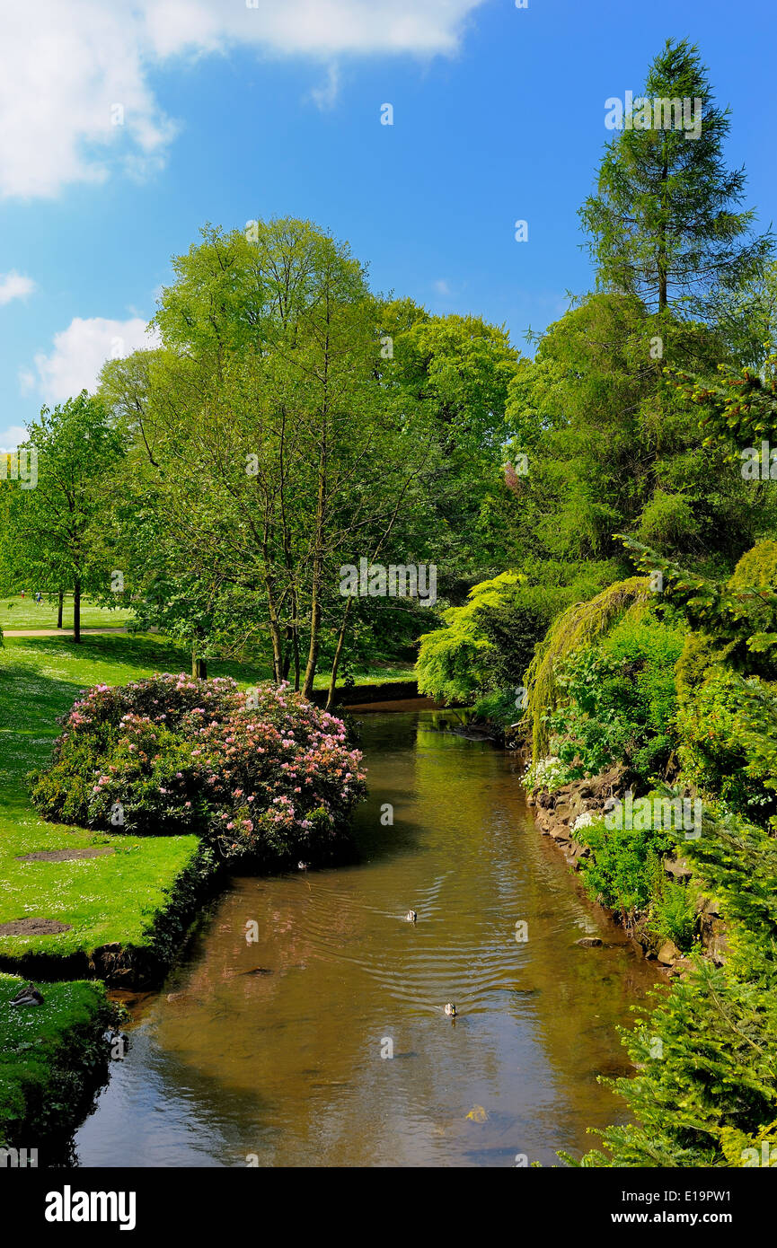 Buxton Pavilion Gärten Derbyshire England UK Stockfoto