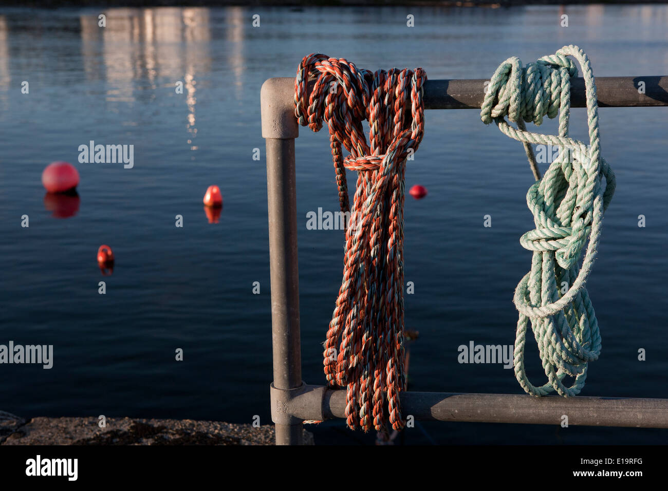 Seil, Metallpfosten, ohne Menschen gebunden. Stockfoto