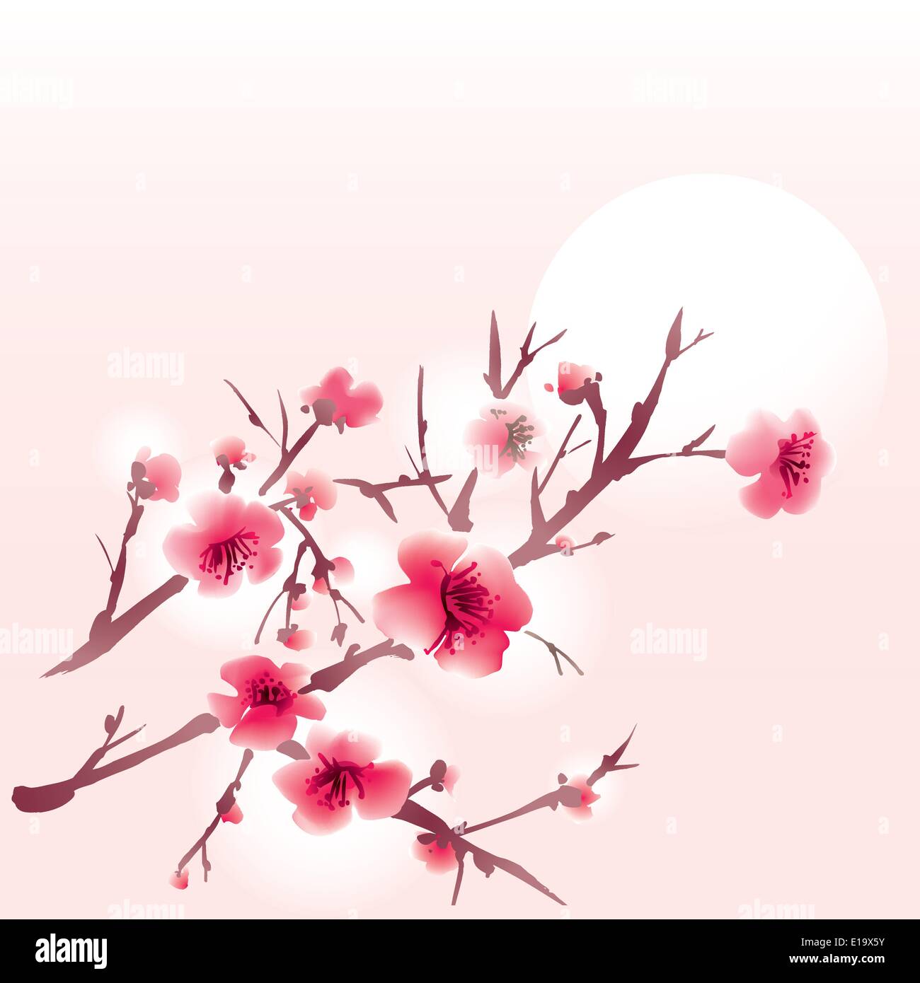 Sakura-Blüten auf einem rosa Hintergrund Stock Vektor