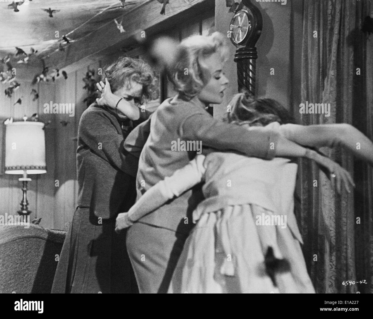 Die Vögel -, Tippi Hedren Jessica Tandy - Regie: Alfred Hitchcock Stockfoto