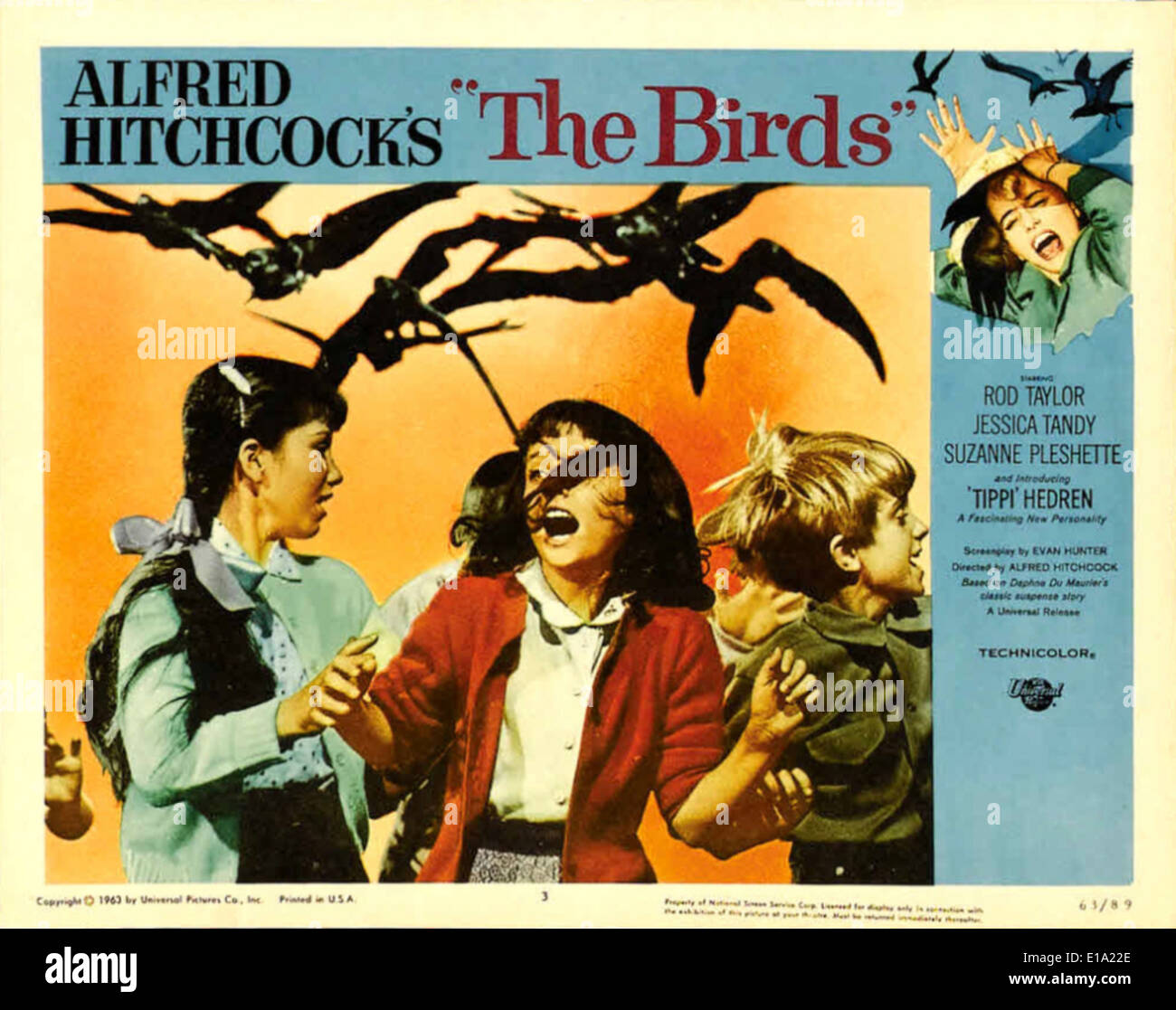 alfred hitchcock die vögel englisch
