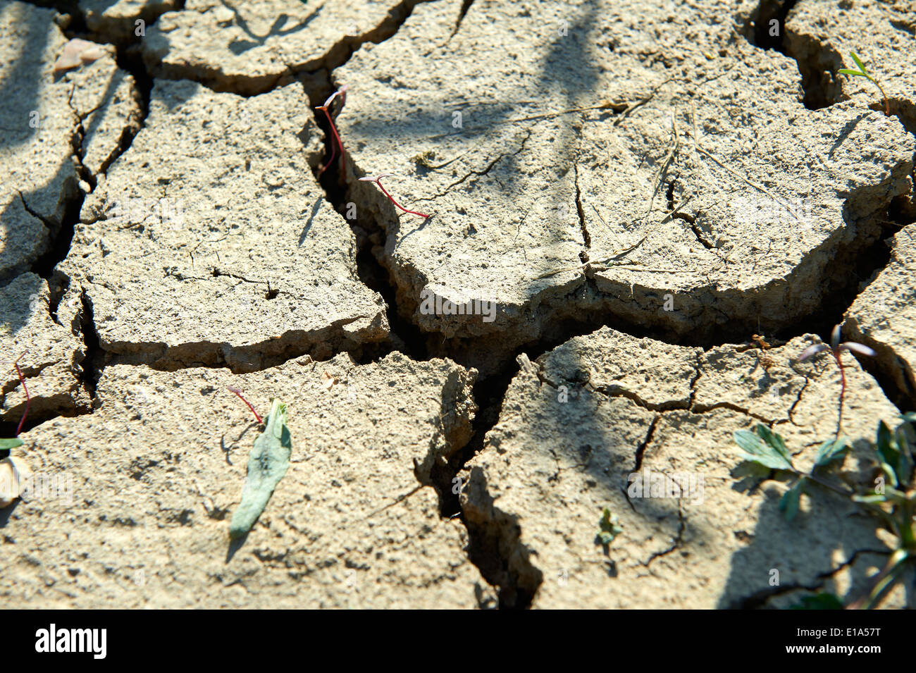 Dehydriertes landwirtschaftlicher Flächen Stockfoto