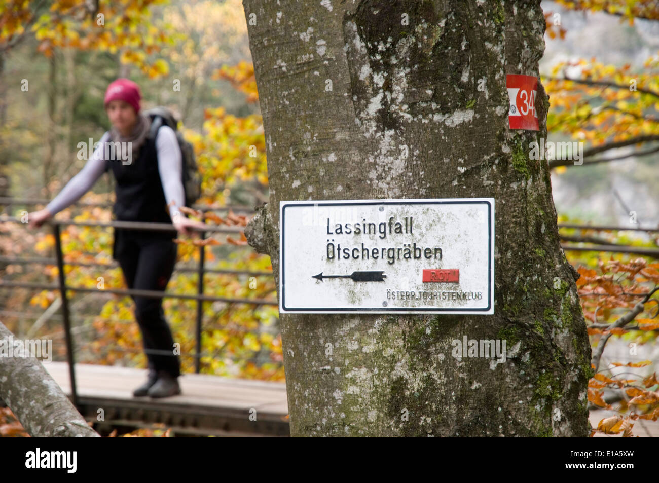Naturschutzgebiet Ötschergraben, Mitterbach am Erlaufsee, Niederösterreich, Österreich Stockfoto
