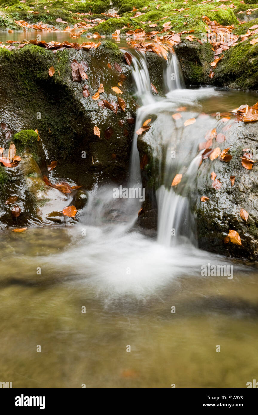 Naturschutzgebiet Ötschergraben, Mitterbach am Erlaufsee, Niederösterreich, Österreich Stockfoto