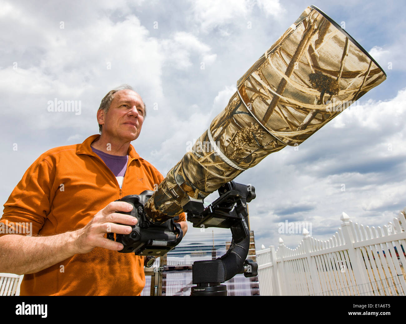 Der Naturfotograf H. Mark Weidman arbeiten mit einem großen Teleobjektiv Stockfoto