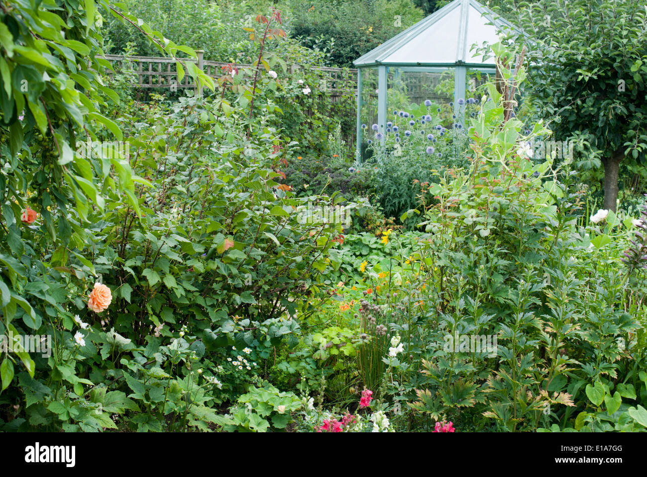 Gewächshaus in einem Garten Stockfoto