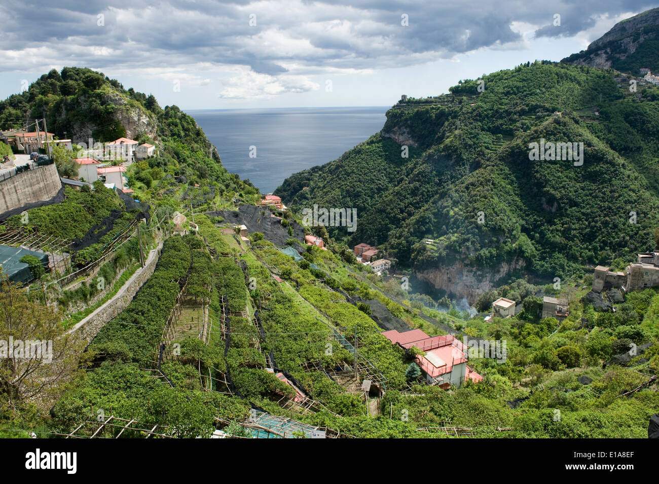 Küsten-Tal auf die Bucht von Salerno über Amalfi mit terrassenförmig angelegten Zitrone Obstgärten, teilweise mit Schatten netting um die Ernte zu schützen Stockfoto