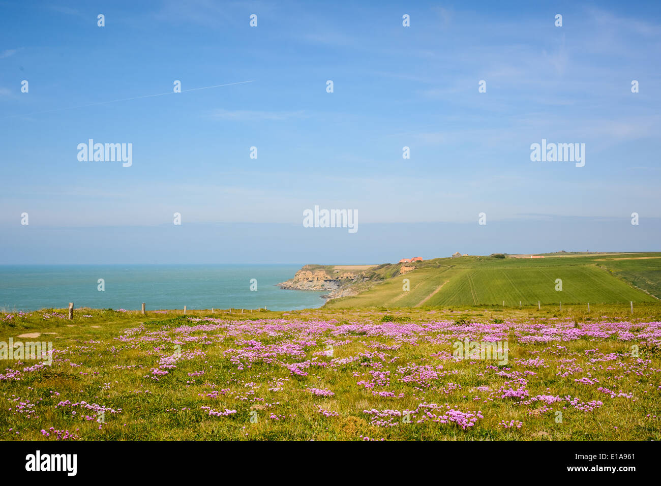 Klippen am Cap Gris-Nez, Côte Opale, Nord-Pas-De-Calais, Frankreich Stockfoto