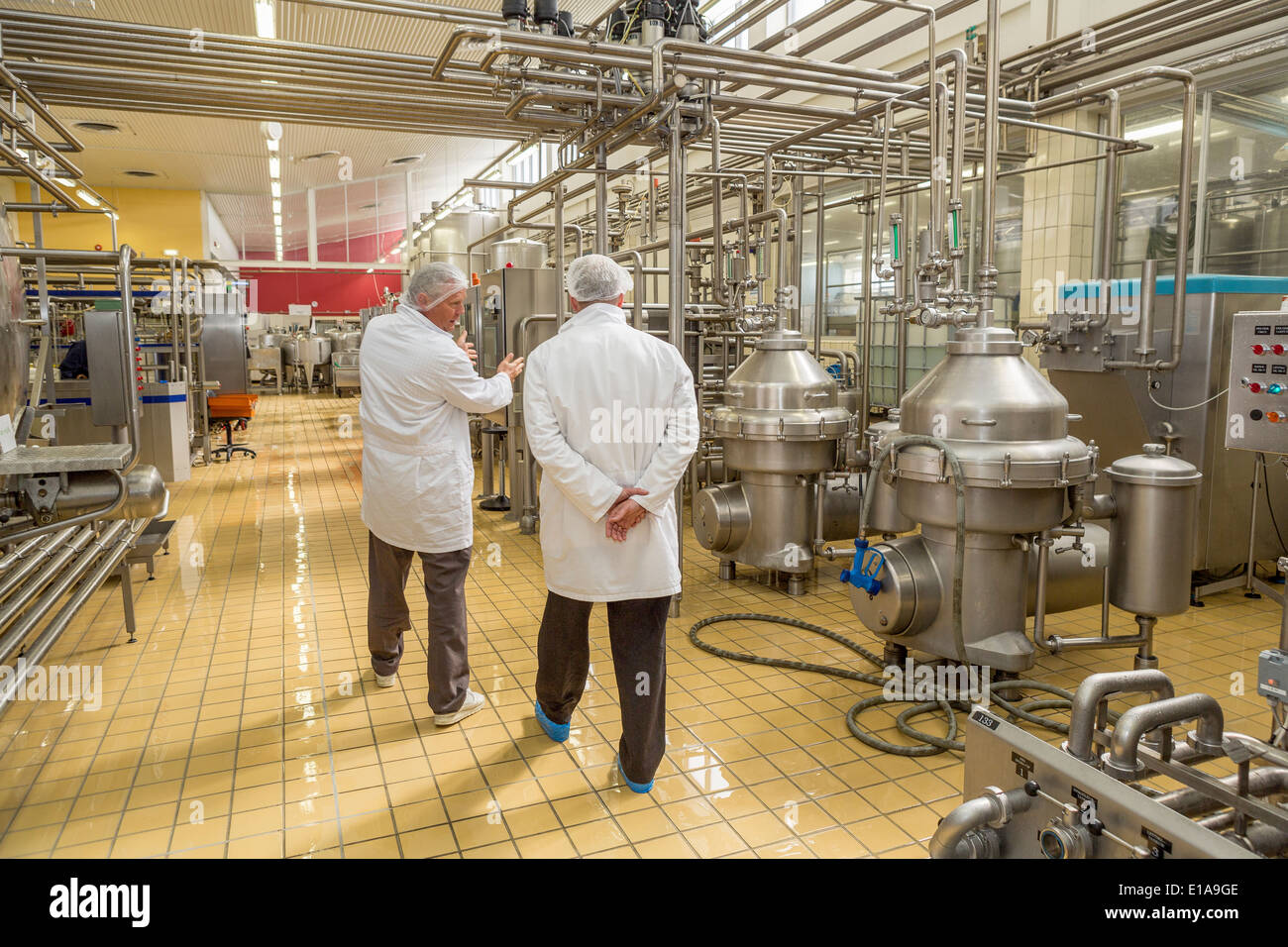 Arbeitnehmer bei der Molkerei-Fabrik. MS Molkereien, Selfoss, Island. Stockfoto