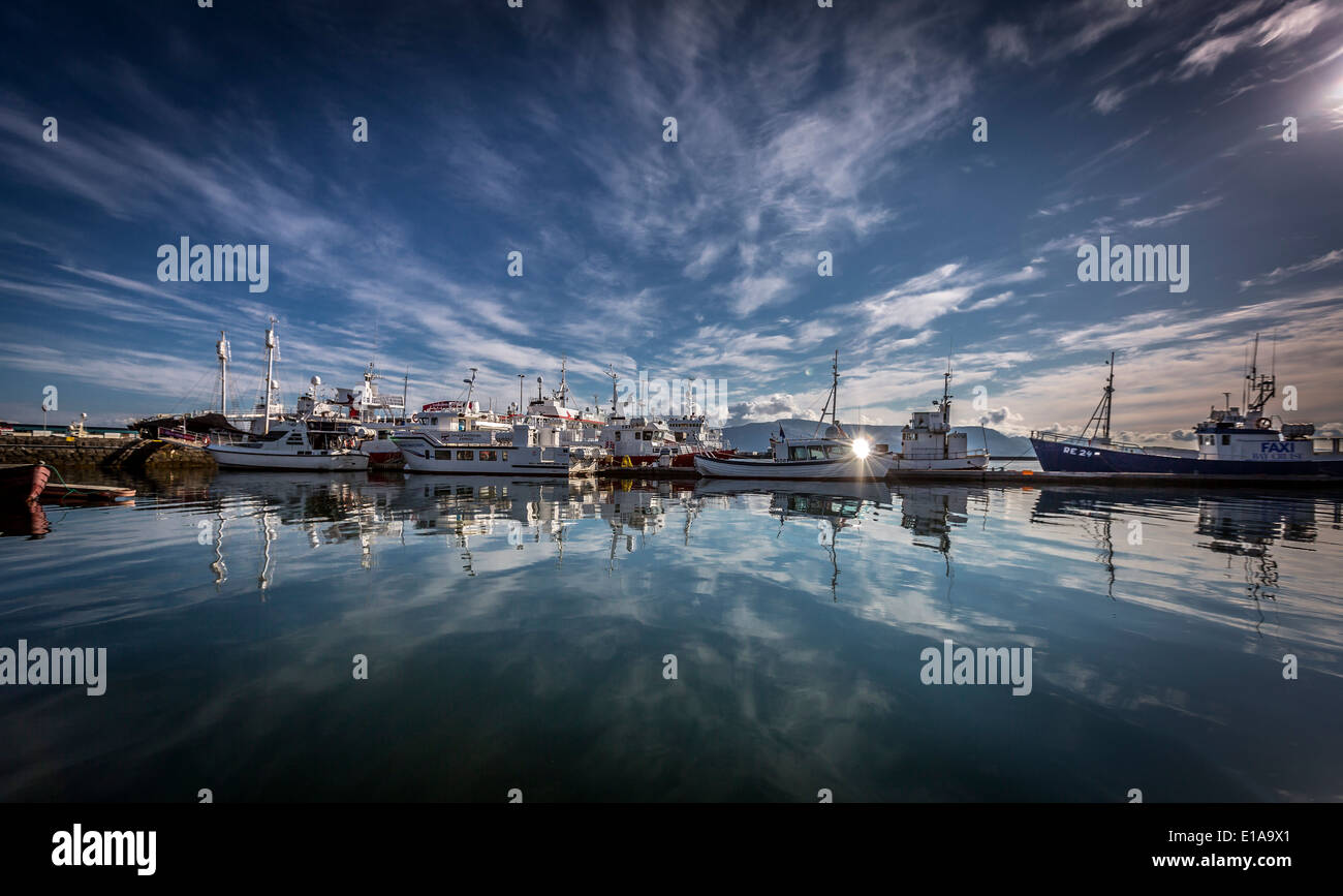 Reykjavik Hafen mit Booten und Fischkuttern, Reykjavik, Island Stockfoto