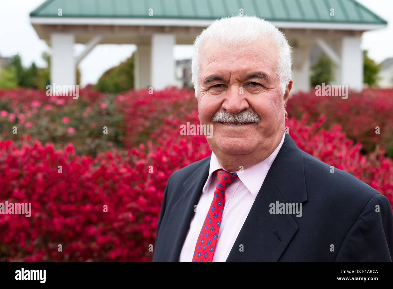 Weißes Haar Senior Geschäftsmann außerhalb von den roten brennenden Büschen Stockfoto