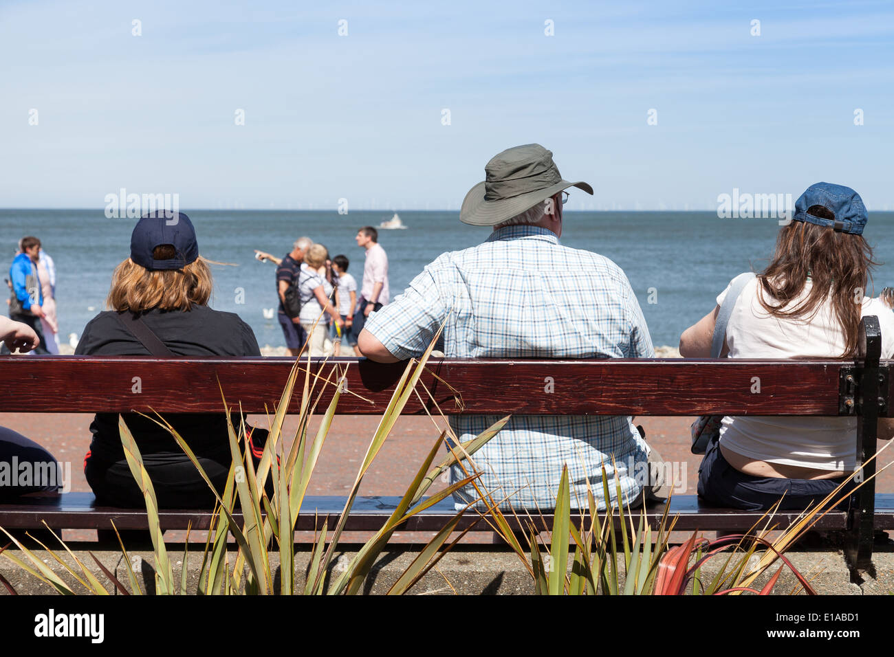 Rückansicht einer Familie, sitzen auf der Holzbank, genießen den Blick aufs Meer. Stockfoto