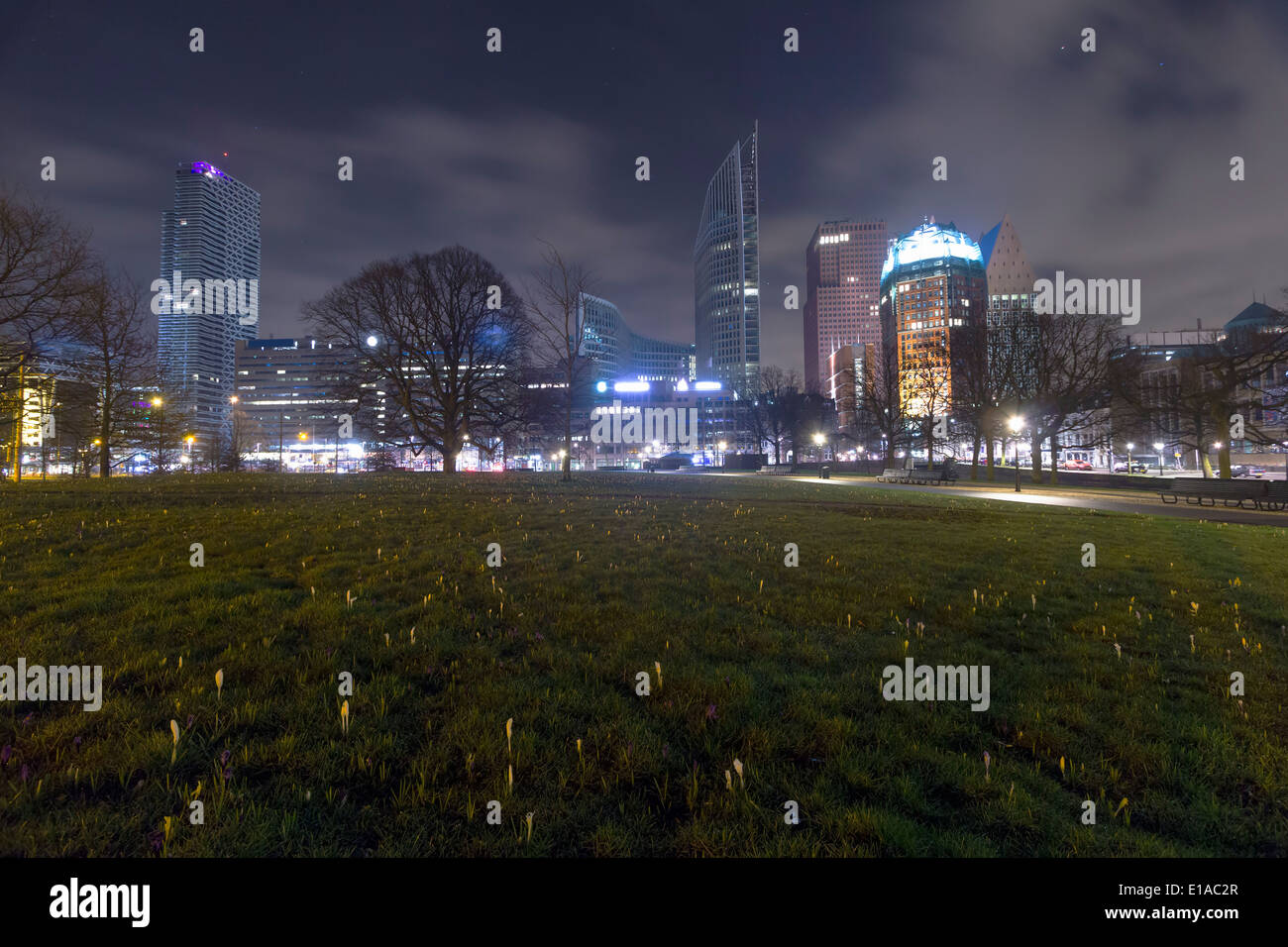 Ein Feld mit kleinen Krokusse und einen Blick auf die Skyline von Haag Stockfoto