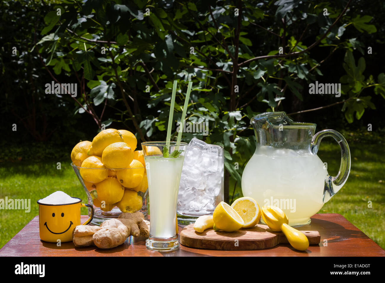 Ingwer-Limonade im Sommer erfrischt perfekt Stockfoto