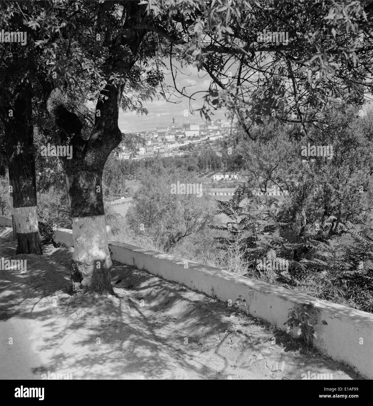 Ein Foto von Coimbra, Portugal, das das historische Stadtbild hervorhebt, das für seine Universität und architektonische Wahrzeichen bekannt ist. Stockfoto