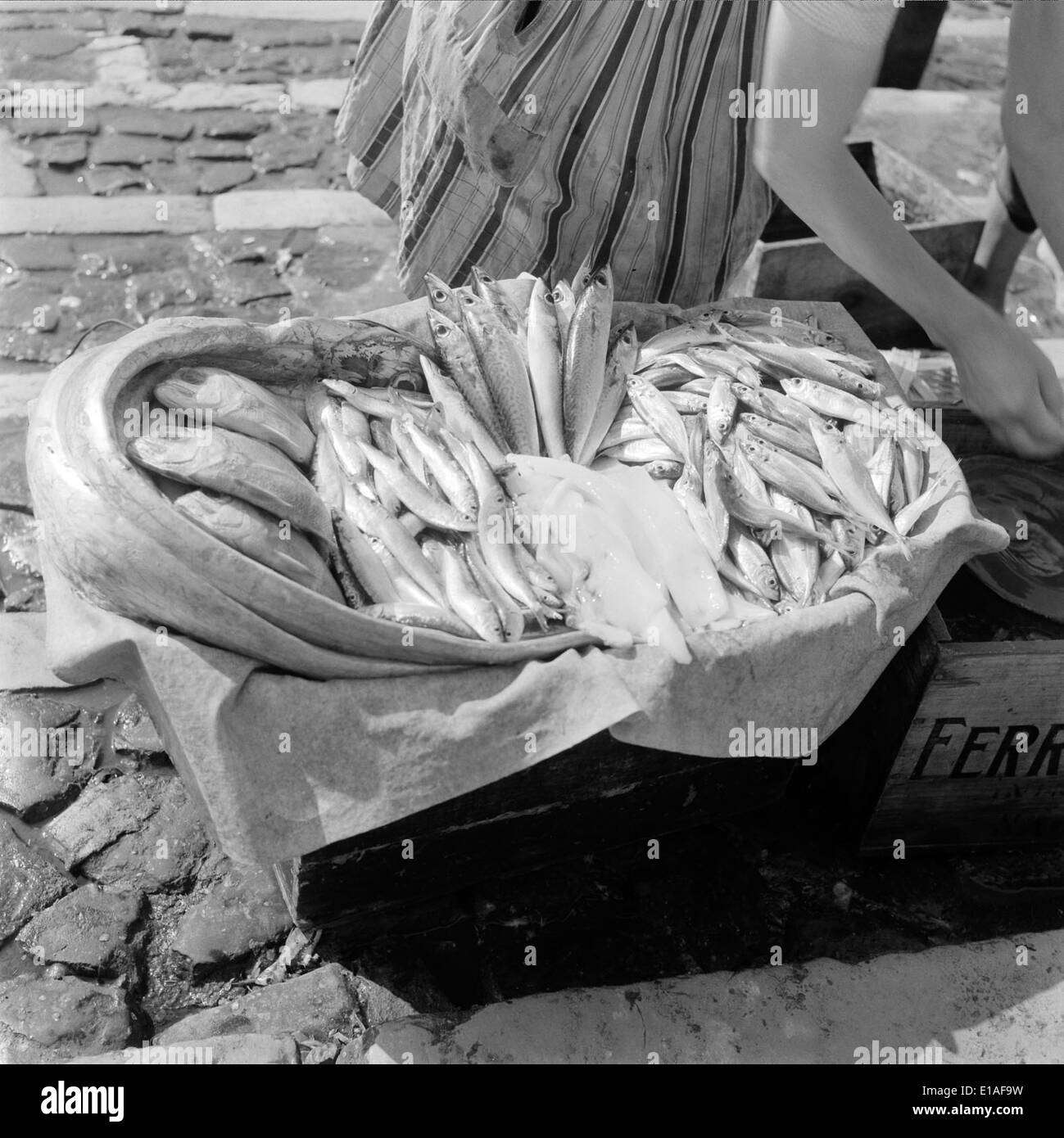 Pescado in Portugal bezieht sich auf den Verkauf von frischem Fang aus dem Meer. Diese Praxis spiegelt die Fischertradition des Landes und die Bedeutung der Meeresfrüchte in der portugiesischen Küche und Kultur wider. Stockfoto