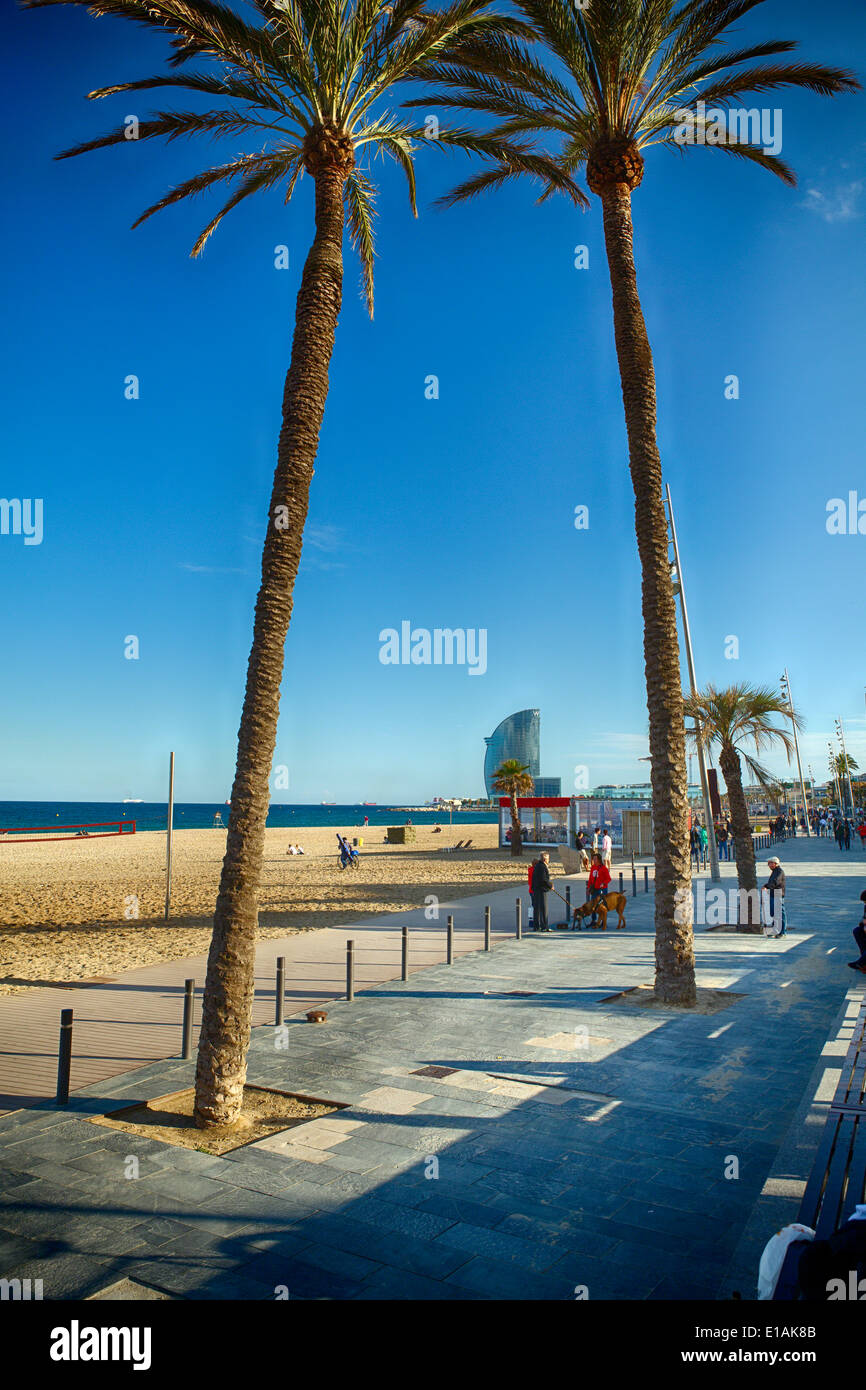 Gehweg am Barceloneta Strand mit Palmen, Barcelona, Katalonien, Spanien Stockfoto
