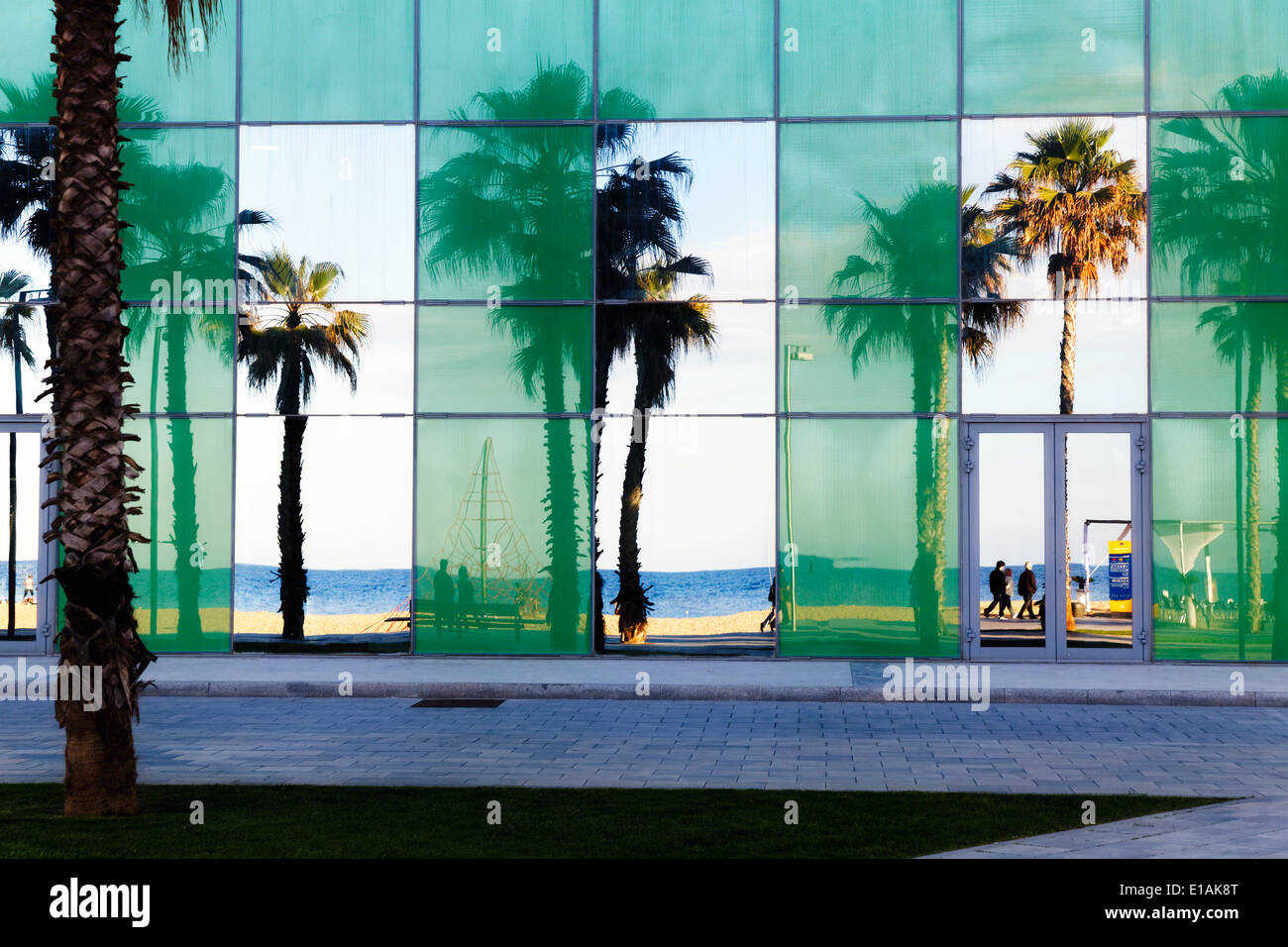 Strand mit Palmen, spiegelt sich in der Glaswand eines Gebäudes, Barcelona, Katalonien, Spanien Stockfoto