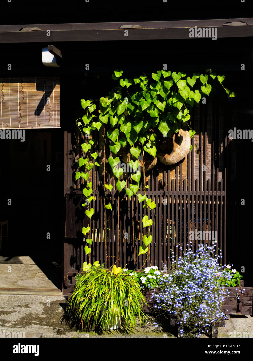 Pflanzen und Blumen wachsen auf einem kleinen attraktiven am Straßenrand Holzgebäude Stockfoto