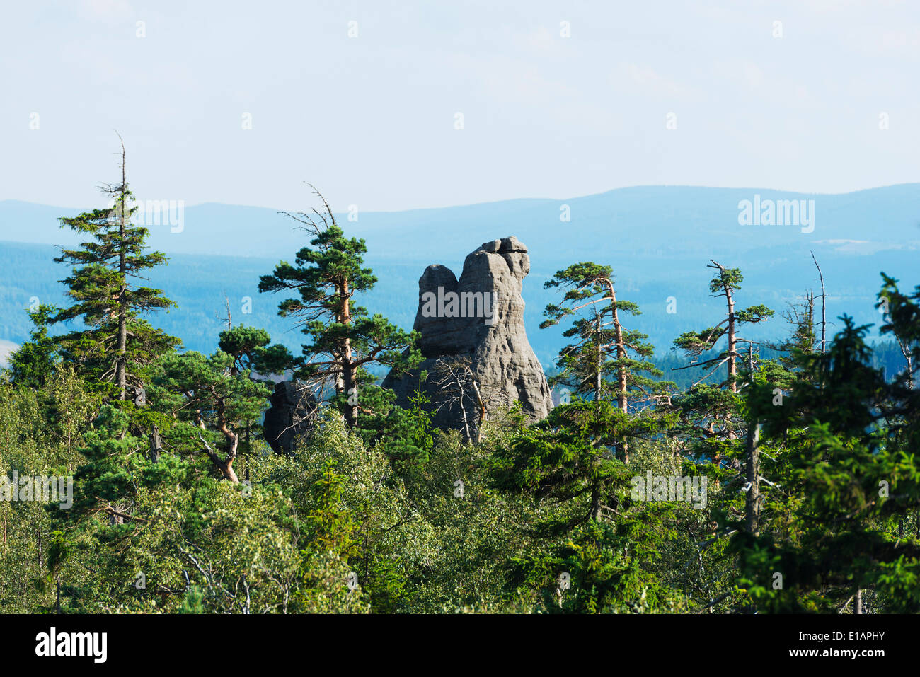 Europa, Polen, Schlesien, Gory Stolowe Nationalpark Stockfoto