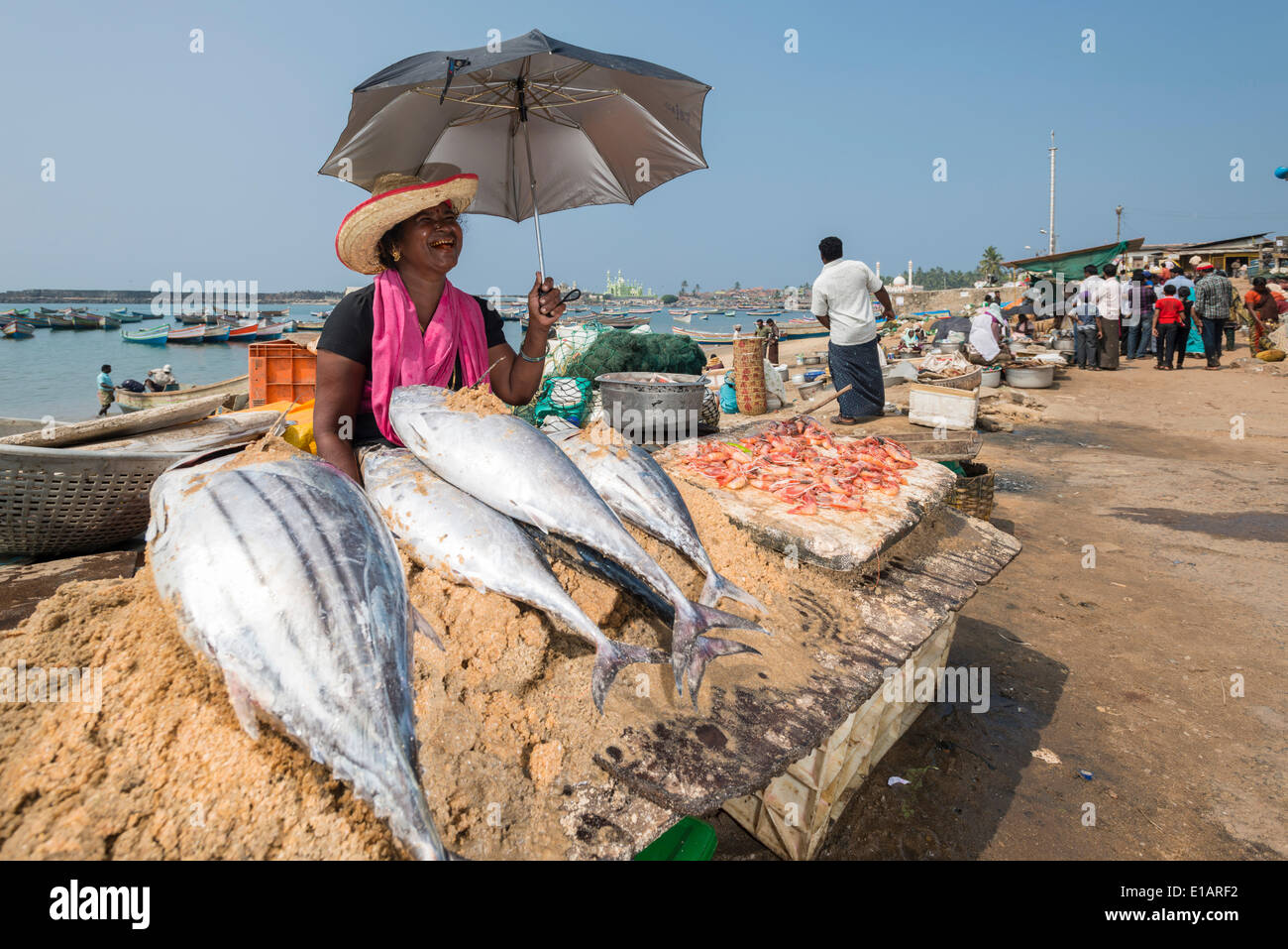 Frau, Verkauf von Fischen, Vizhinjam, Kerala, Indien Stockfoto