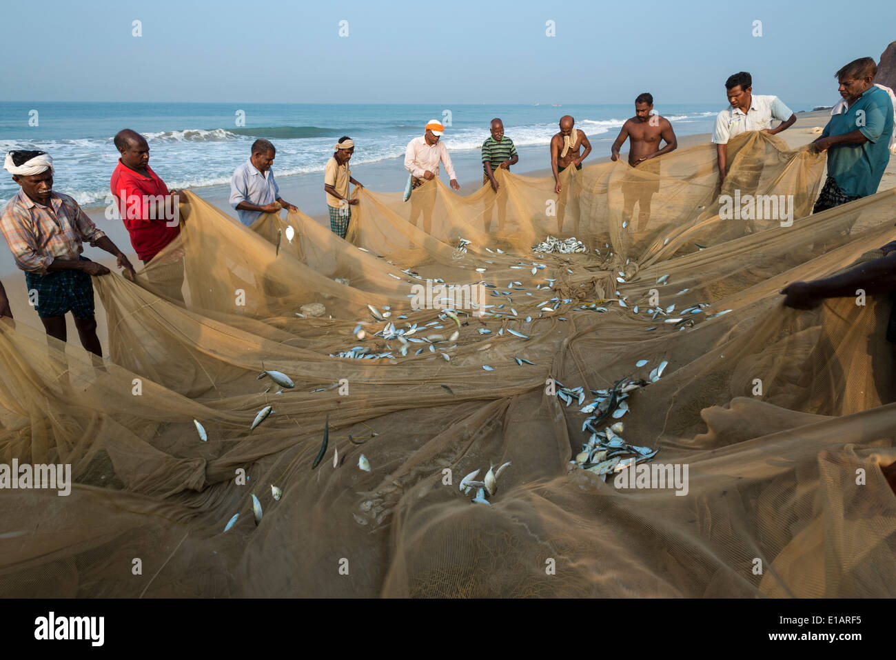 Fischer Inspektion Fischernetze, Varkala, Kerala, Indien Stockfoto