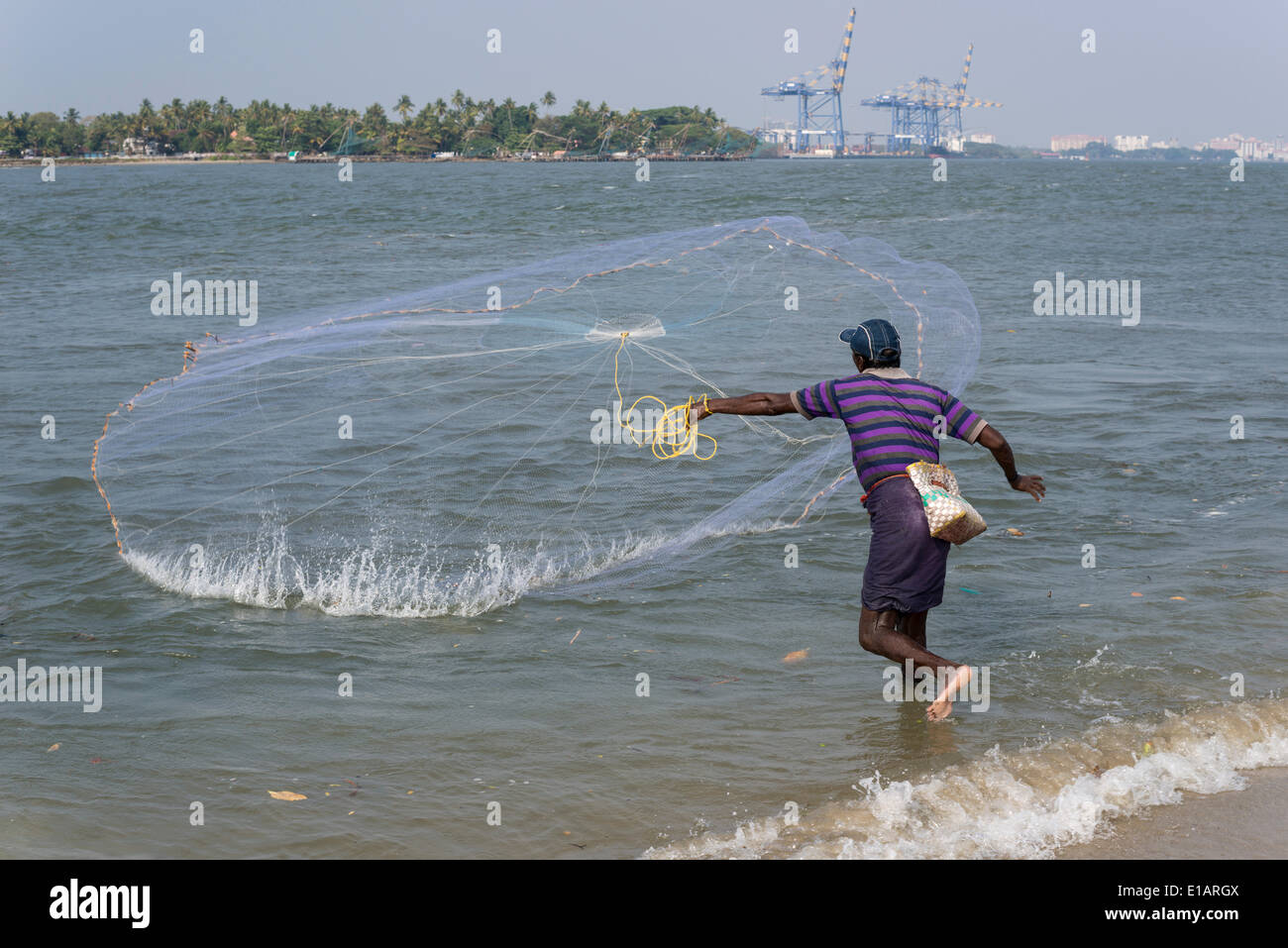 Ein Fischer sein Netz werfen, Hafen von Kochi, Kochi, Kerala, Indien Stockfoto