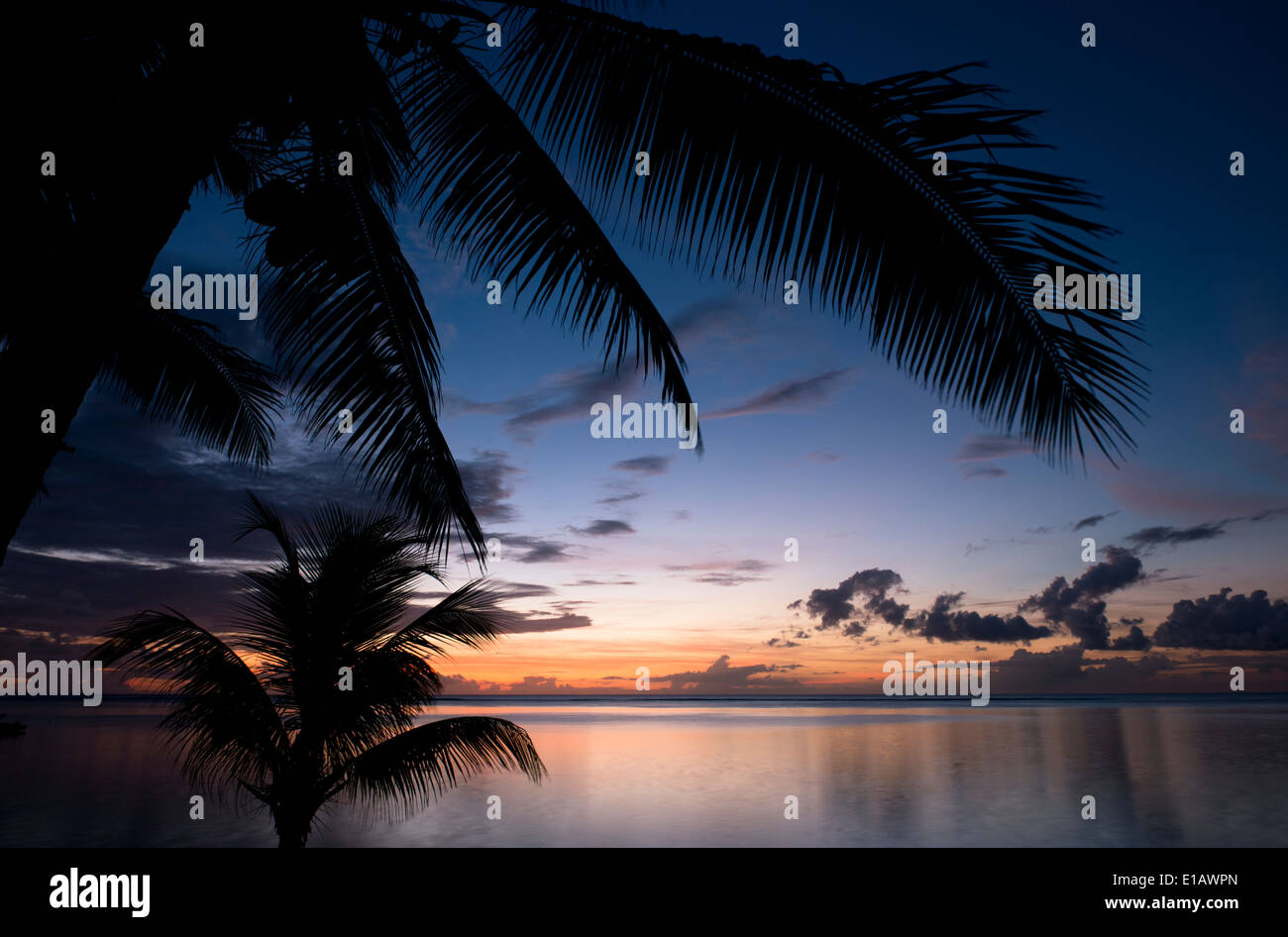 Sonnenuntergang über Palmen im Lux Le Morne Resort am Le Morne Brabant Halbinsel, Mauritius, The Indian Ocean Stockfoto